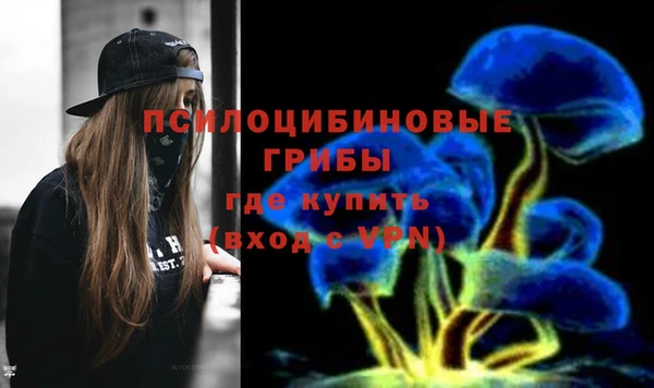 мяу мяу кристалл Переславль-Залесский