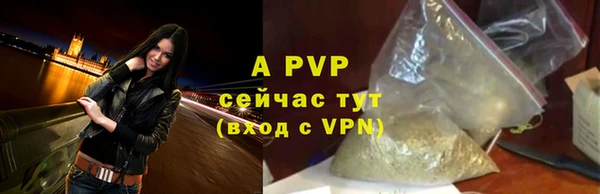 твердый Осинники