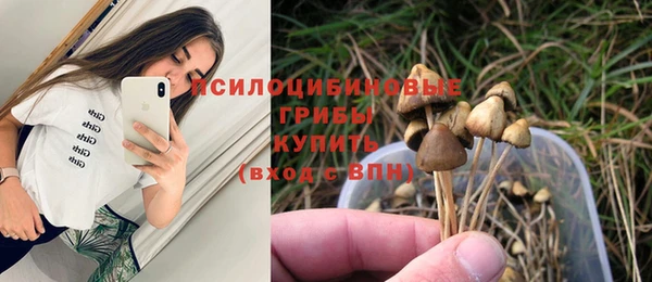 твердый Осинники