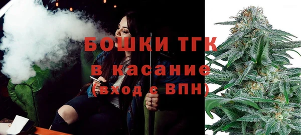 твердый Осинники