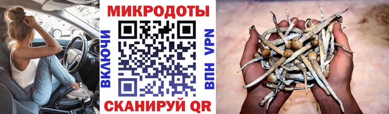 Галлюциногенные грибы ЛСД  Шарыпово 