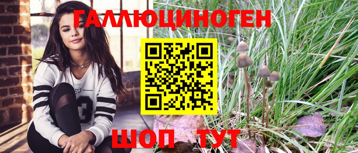 Псилоцибиновые грибы GOLDEN TEACHER  Вход с VPN  Шарыпово  Галлюциногенные грибы GOLDEN TEACHER 