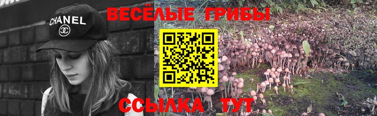 Псилоцибиновые грибы GOLDEN TEACHER  Шарыпово  Галлюциногенные грибы Magic Shrooms 