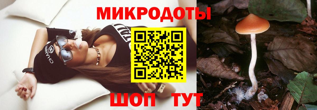 Псилоцибиновые грибы Psilocybine cubensis Шарыпово